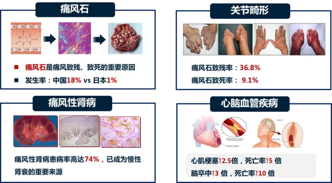 微信图片_20250414083112.png